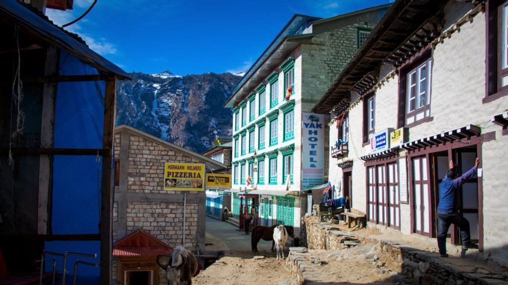 Teahouse in Namche