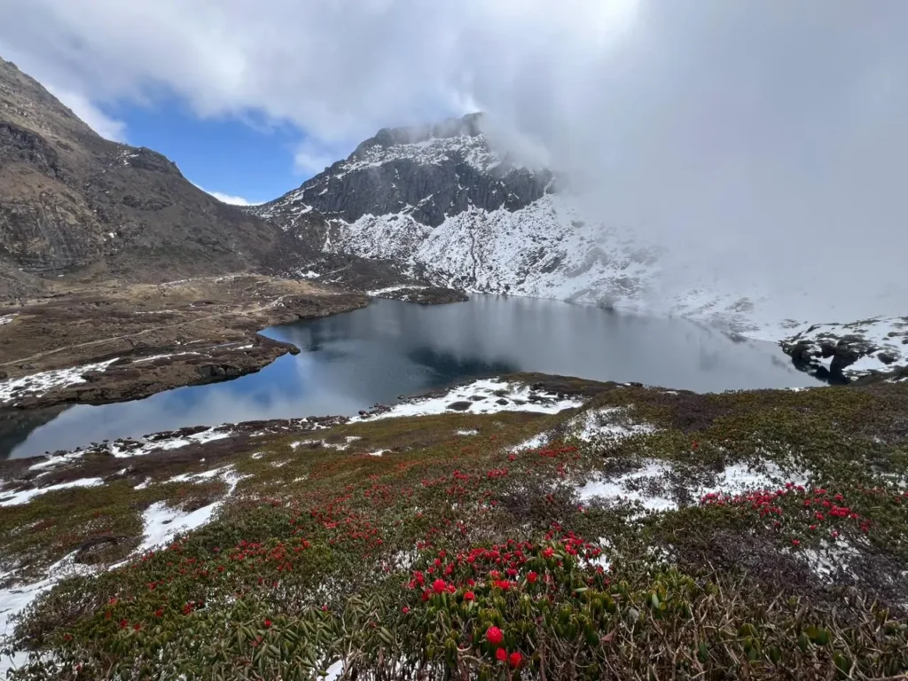 makalu-base-camp-lake-blooming-flowers