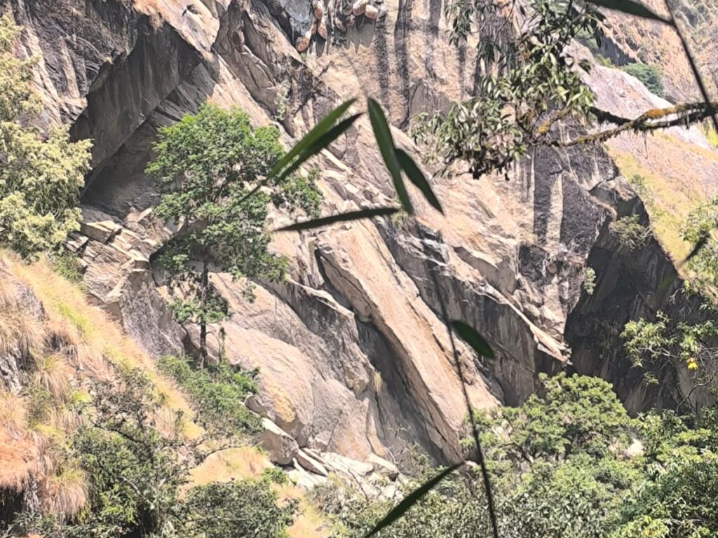 Wild Honey Comb in Langtang