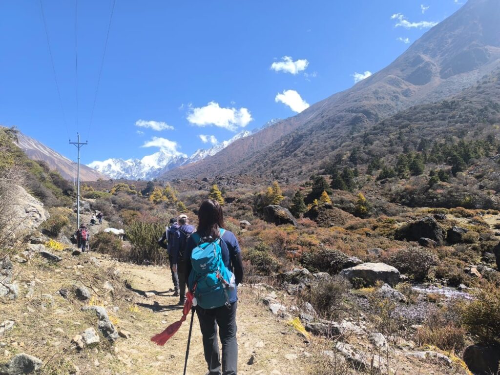 Scenic trail on the way to the Tamang Heritage Trail, Langtang region, Nepal.
