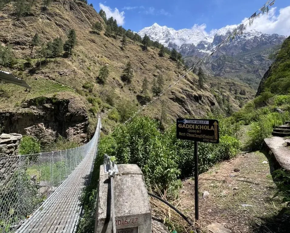 tsum-valley-gaddi-khola