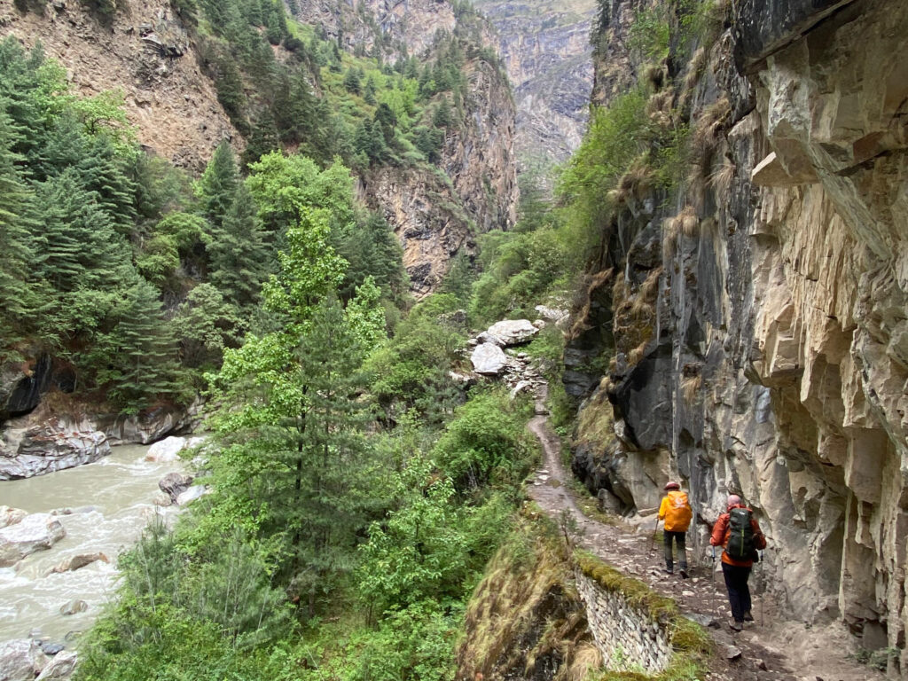 Himalayan Foothill