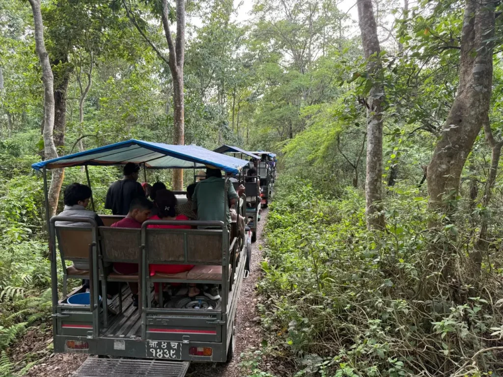 Chitwan National Park Safari