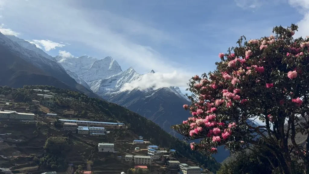 Everest region landscape featuring terraced hillside homes, misty mountains, and flowering rhododendrons